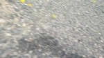 38079P1070872.JPG
