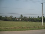 28292IMG_5083.JPG