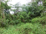 46302CIMG0591.JPG