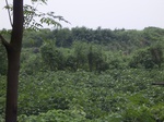 1132R0015324.jpg