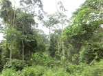 50998CIMG3935.JPG