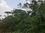49869CIMG6206.JPG