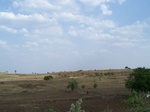 1693902052008(98).JPG