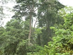 48390CIMG4727.JPG