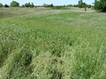 29189ADAX20110516GPS.JPG