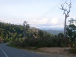 43401R0012362.JPG