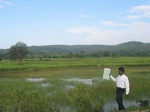 8837gt06a-cropland-rice-valley.gif