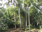 15386IMG_4235.JPG