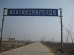 8566IMG_0390.JPG