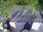 3606 174.jpg