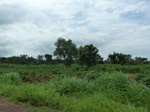 21001P1020871.JPG