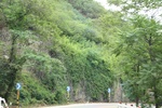 2024-08-05_16-28-20_10BDAE8C-25F6-4730-A957-0941E53486CE.jpeg