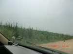 32626CIMG1745.JPG