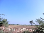 56354CIMG7907.JPG