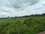 20779P1020637.JPG