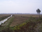 3266R0017300.JPG