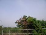 3794RIMG0098.JPG