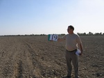 10184019-irrri-w-wheat-sw-1b.jpg