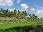 31180CIMG1042.JPG