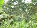 48882CIMG5219.JPG