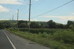 2024-09-24_15-20-56_BE05C6DB-552F-4FC4-ACA9-9446E290B603.jpeg