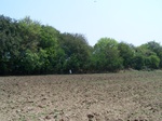 1776424042008(24).JPG
