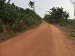 47335CIMG3672.JPG
