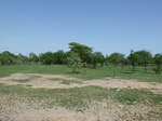 19277P1010123.JPG