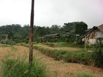 30833CIMG0683.JPG