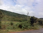 55856CIMG6543.JPG