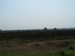 516823042008(16).JPG
