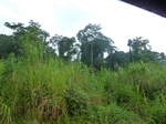 20554P1020411.JPG