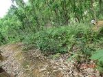 53424CIMG6744.JPG