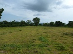 18652P1000490.JPG