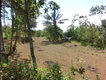 31498CIMG1364.JPG