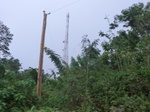 49906CIMG6243.JPG