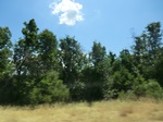 2012-08-30_11-29-17_CIMG1626.JPG