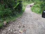 15177IMG_3997.JPG
