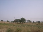 9097RIMG0177.JPG