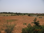 52177Tank ID 1800004 Jajurayanahalli 2.JPG