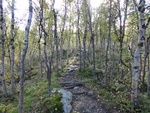 43099DSC00338.JPG