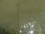 58583CIMG3033.JPG