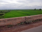 55889CIMG6585.JPG