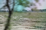 2024-08-05_14-21-48_5BB6D0E1-38DD-4F3D-9D6C-D6D5BE97C7C9.jpeg