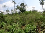 50961CIMG0859.JPG