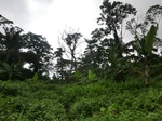 45501CIMG2586.JPG