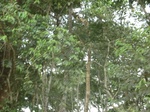 48363CIMG4700.JPG
