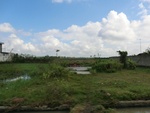 31013CIMG0875.JPG