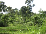 15237IMG_4059.JPG