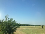 55541IMG_0704.JPG